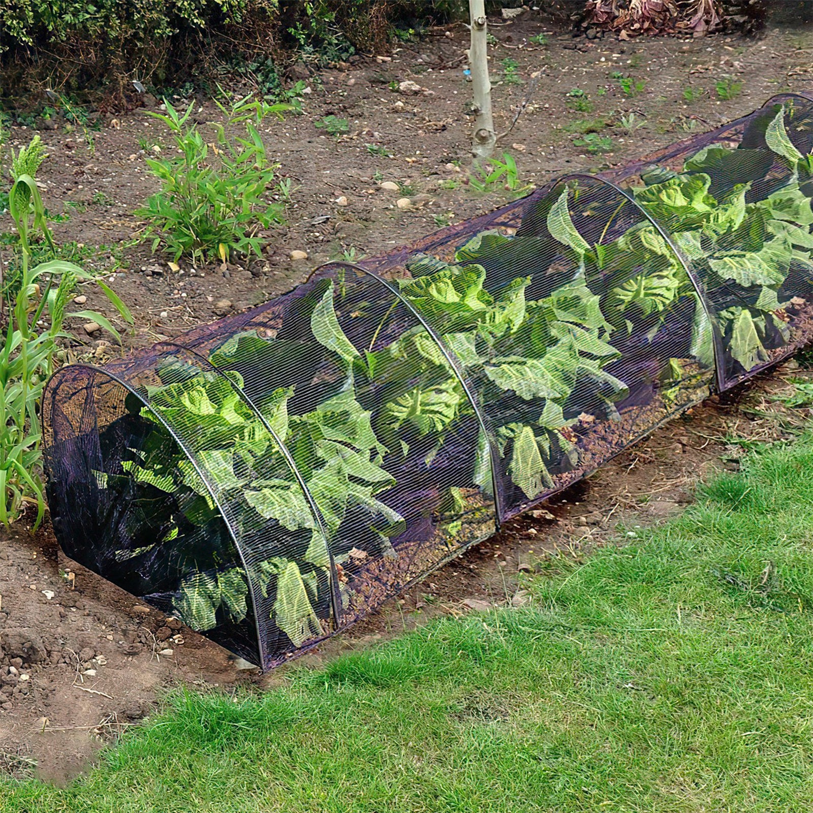 KCT BLACK GARDEN NET POLY GROW TUNNEL PLANT FRUIT CLOCHE VEG PROTECTION MESH 3M