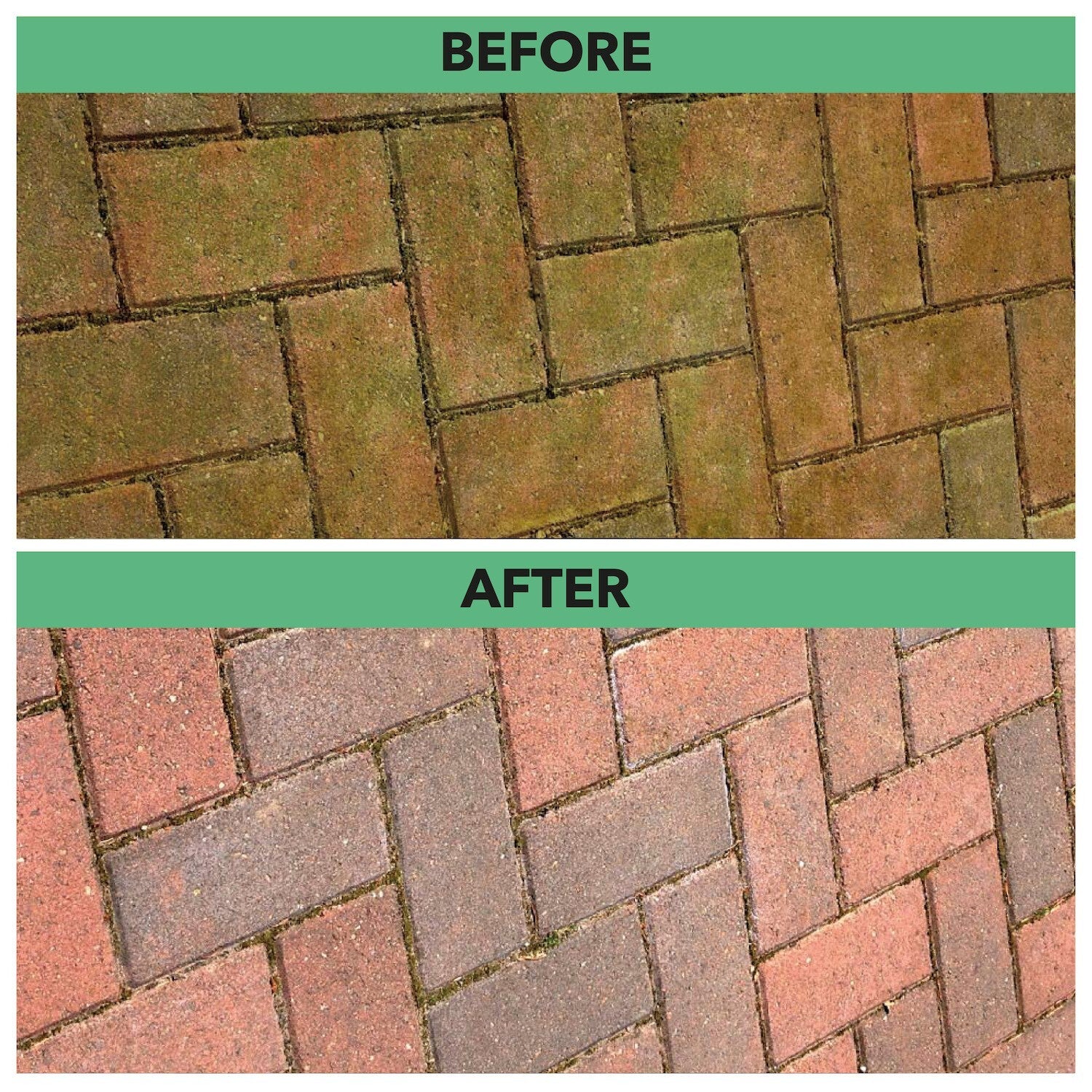 Spray and Leave 5L One Chem Ready to Use Kills Algae Mould Long Hose Trigger