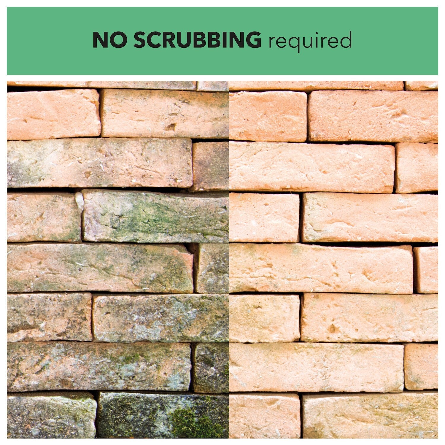 Spray and Leave 5L One Chem Ready to Use Kills Algae Mould Long Hose Trigger